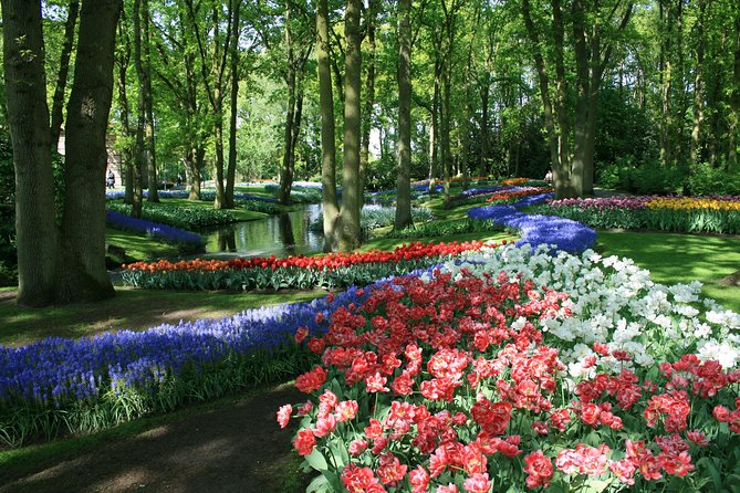 Private Day Trip from Amsterdam to Keukenhof with Entrance Tickets - Four hours among millions of flowers