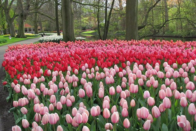 Private Day Trip from Amsterdam to Keukenhof with Entrance Tickets - Skip-the-line entry and what it really saves