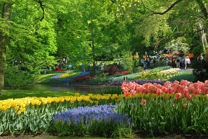 Private Day Trip from Amsterdam to Keukenhof with Entrance Tickets - Who gets the best value from this outing