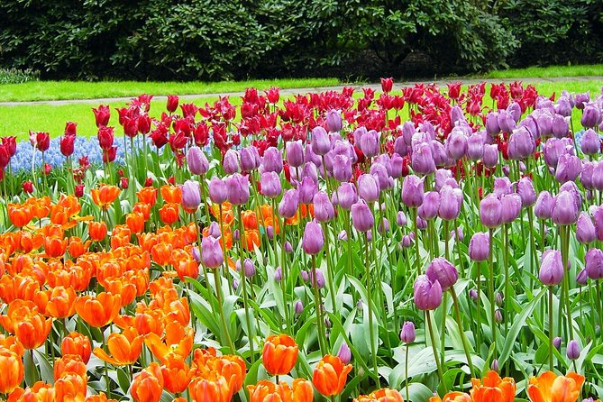 Private Day Trip from Amsterdam to Keukenhof with Entrance Tickets - How the guides can change the day