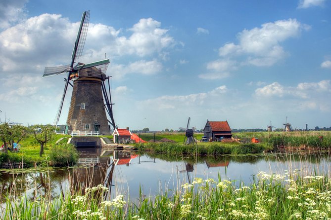 Private Day Trip from Amsterdam to Rotterdam and the Hague - What the guide adds to the day
