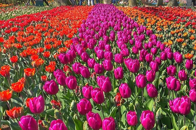 Private Day Trip to Keukenhof Gardens with Entrance Tickets - The Kaag possibility, and why it matters