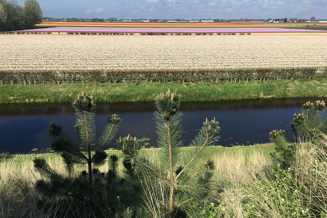 Private daytour from Amsterdam into the Countryside - Marken, where the village walk slows the day