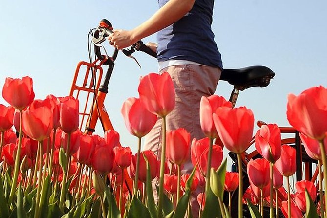 Private Guided Full-Day Customizable Tour of Holland from Amsterdam - What the guides add to the day