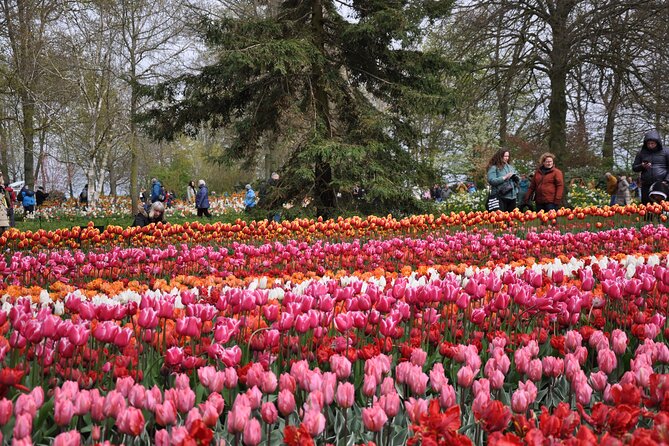 Private Guided Keukenhof Gardens and Zaanse Schans Tour - Watching a clog take shape