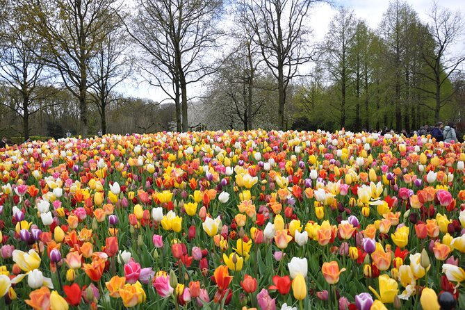 Private Guided Keukenhof Gardens and Zaanse Schans Tour - Cheese tasting at Catharina Hoeve