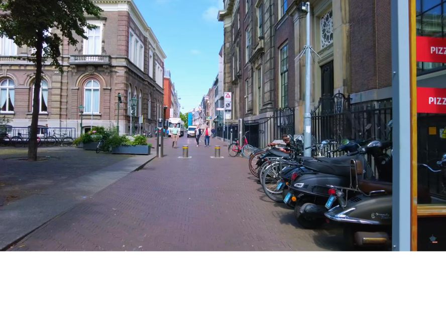 Private half-day Delft and The Hague tour - A private guide changes the rhythm