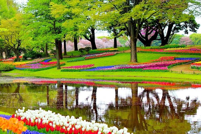 Private Half-Day Trip From Amsterdam to The Tulip Fields in Keukenhof - What happens after you arrive at Keukenhof