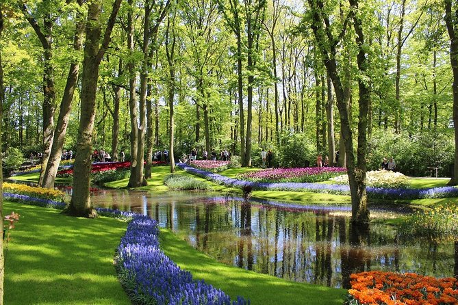 Private Half-Day Trip From Amsterdam to The Tulip Fields in Keukenhof - A private ride that keeps your schedule open