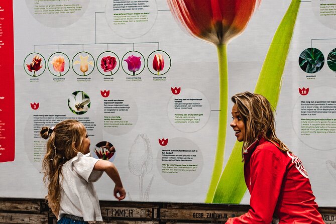 Private Keukenhof Gardens and Tulip Fields Tour from Amsterdam - Key points at a glance