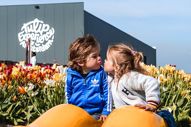 Private Keukenhof Gardens and Tulip Fields Tour from Amsterdam - The private Mercedes ride is part of the value