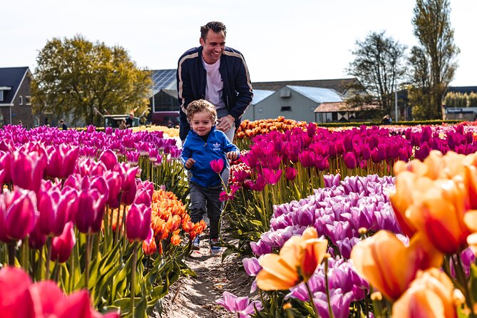 Private Keukenhof Gardens and Tulip Fields Tour from Amsterdam - Timing matters more than the five-hour label