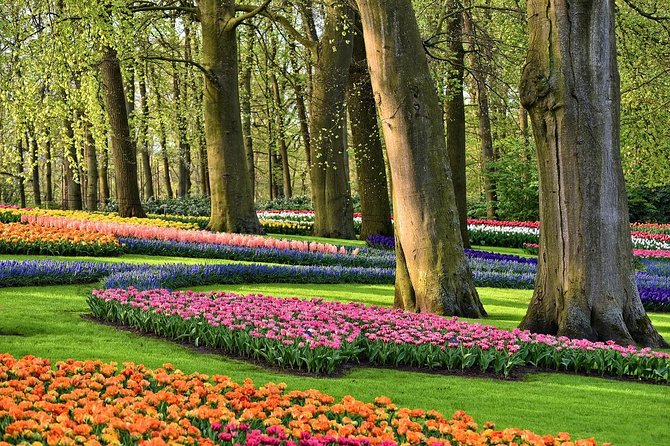 Private Keukenhof, Gardens, Windmills, cheese tour from Amsterdam - Key points to know before booking