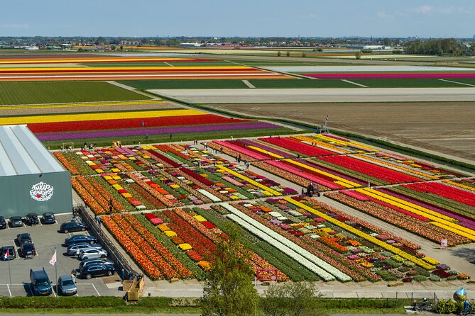 Private Keukenhof, Gardens, Windmills, cheese tour from Amsterdam - What the private format is really worth
