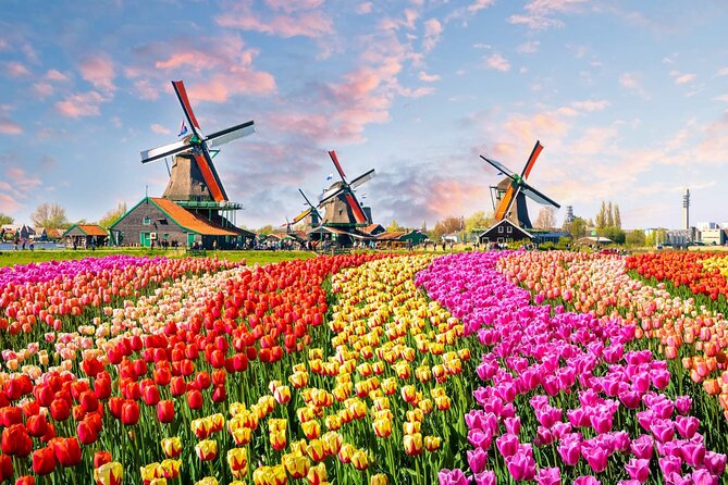 Private Keukenhof Park and Tulip Fields Tour (Skip-The-Line) - Why Keukenhof is worth the trip from Amsterdam