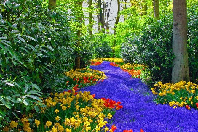 Private Keukenhof Park and Tulip Fields Tour (Skip-The-Line) - The driver makes a big difference