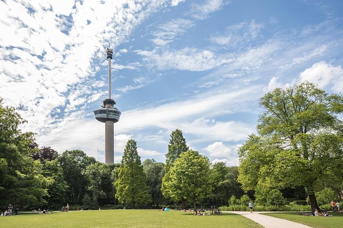 Private Tour: Rotterdam Walking Tour Including Harbor Cruise - Cube Houses and the Old Harbor