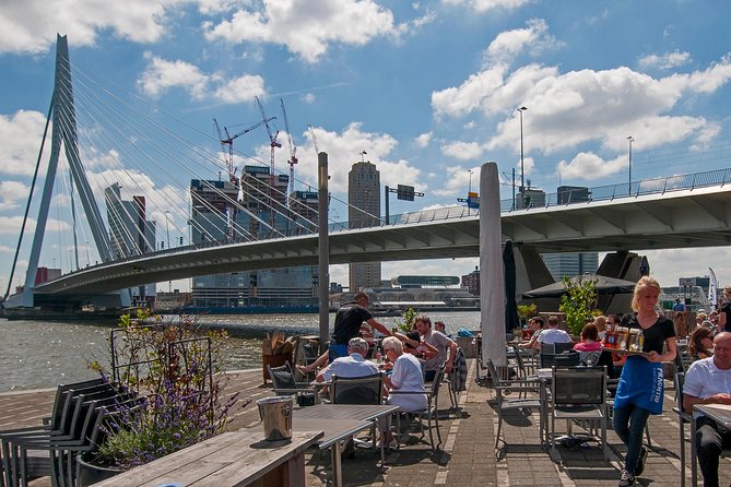 Private Tour: Rotterdam Walking Tour Including Harbor Cruise - Museumpark and Rotterdam’s architectural conversation