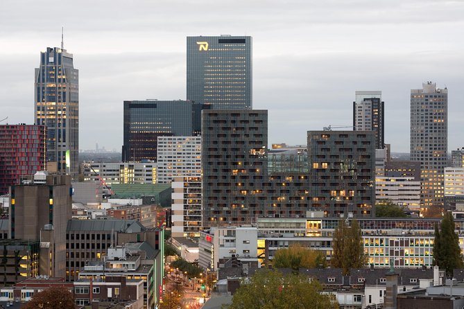 Private Tour: Rotterdam Walking Tour Including Harbor Cruise - Starting near the Maritime Museum or Rotterdam Central