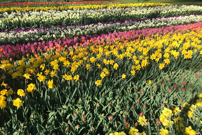 Private Tour to the Keukenhof and Tulip Fields - Is $318.70 per person a fair price?