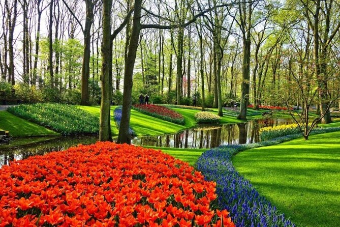 Private Tour to Tulips, Keukenhof, Windmills & Cheese Farm - What the driver adds to a private day