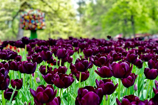 Private Tour to Windmills Zaanse Schans +Keukenhof - 7 Hours - Timing, weather, and the extra costs
