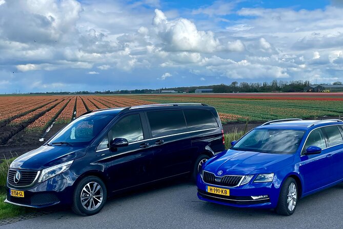 Private Tour to Zaanse Schans, Volendam, and Marken - What the guide adds to the day