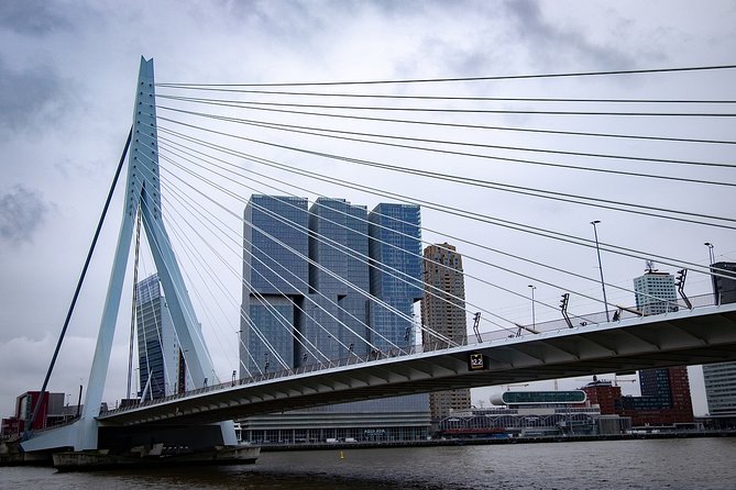 Private Transfer from Amsterdam city center to Rotterdam - Meeting your driver in Amsterdam