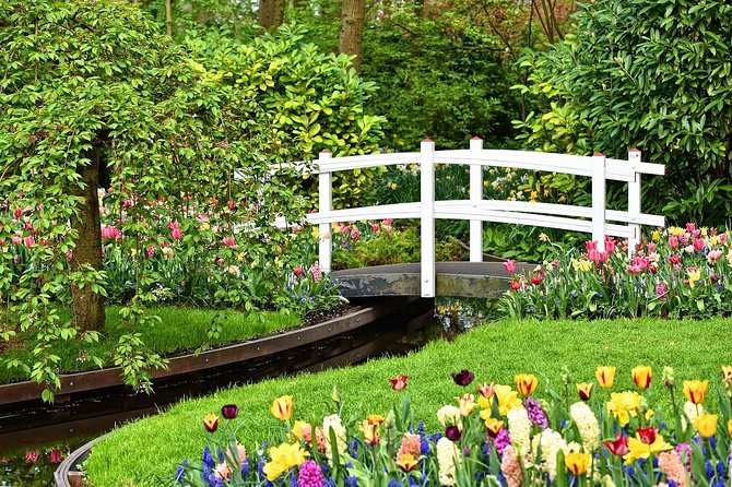 Private Tulip Fields, Windmills and Cheese Tour from Amsterdam - A full day of Dutch icons from Amsterdam