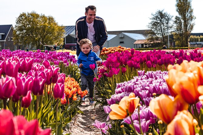Private Tulip Fields, Windmills and Cheese Tour from Amsterdam - Jacobs Hoeve Cheese Farm and the Gouda tasting