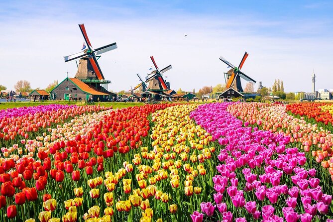 Private Zaanse Schans & Volendam Tour: Windmills, Cheese & Clogs - What the $341.53 price really buys