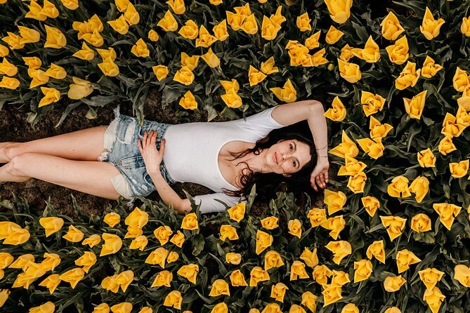 Professional Photoshoot at Private Tulip Field - Key points at a glance