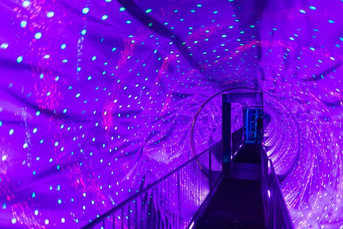 Ripley's Believe It or Not! Amsterdam Admission Ticket - Who will enjoy Ripley’s most?