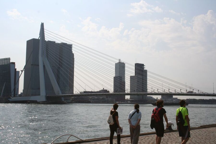 Rotterdam: Architectural Highlights Guided Walking Tour - Inside the Markthal