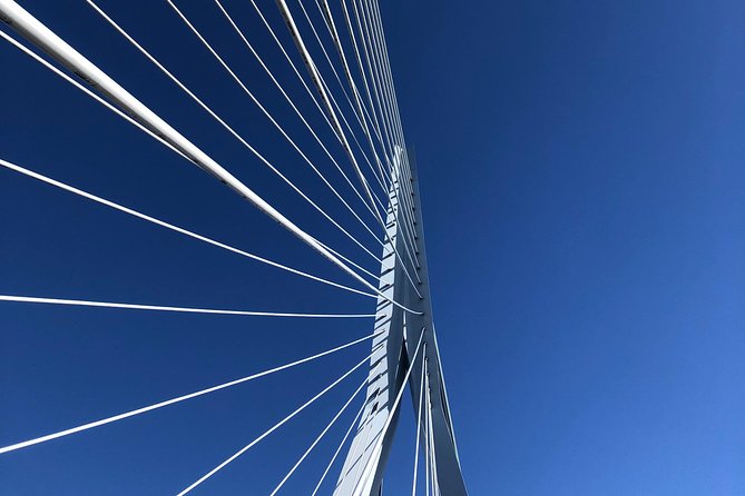 Rotterdam Architecture Highlights Walking Tour - Boompjeskade and the Maas river view