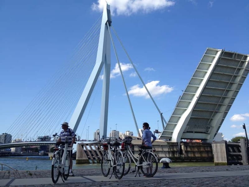 Rotterdam: City Highlights Guided Bike Tour - Leaving the Main Roads for Local Neighborhoods