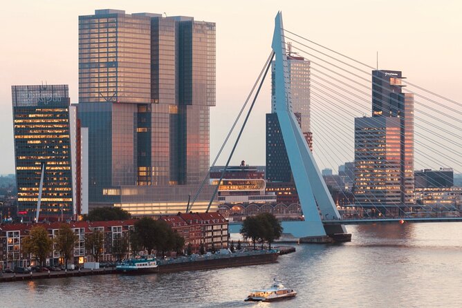 Rotterdam, Delft and The Hague Small Group Tour from Amsterdam - Who should choose this day trip