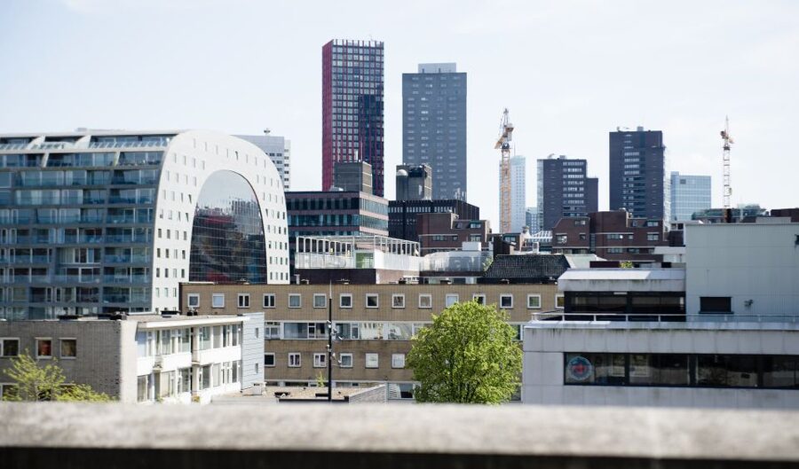 Rotterdam: Exclusive Rooftop Tour with 360˚ views - The DakAkker: a vegetable garden above the streets