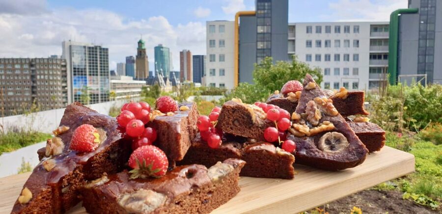 Rotterdam: Food Tour by Bike - Why Rotterdam works so well by bike