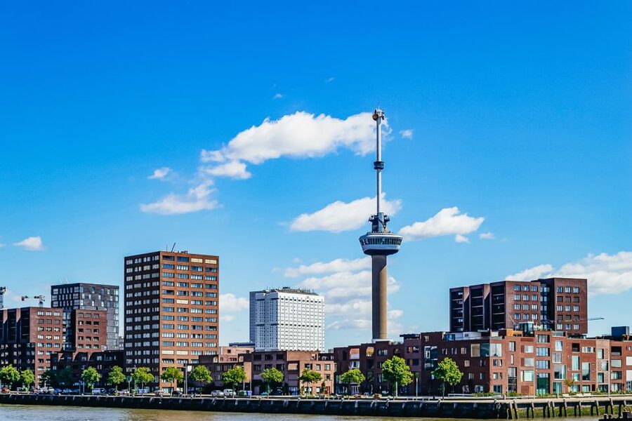 Rotterdam: Harbor Cruise with Live Guide - Waalhaven and the old shipyard district