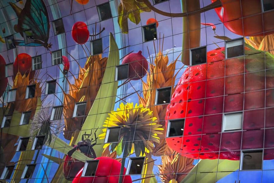 Rotterdam: Highlights & Gems Walking Tour with Dutch Local - Practical Tips Before You Go