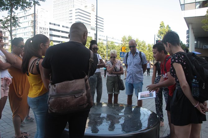 Rotterdam Highlights Private Walking Tour - Why a private guide can be worth the cost