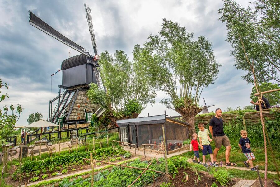 Rotterdam: Kinderdijk UNESCO World Heritage Entry Ticket - Why Kinderdijk is more than a row of pretty windmills