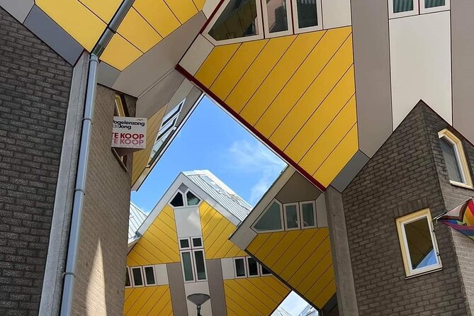 Rotterdam: Private Tour with Local Guide + Cube House visit - A private guide changes the pace