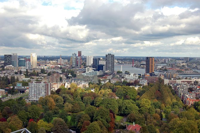 Rotterdam Private Walking Tour with a Local - Key points to know before booking