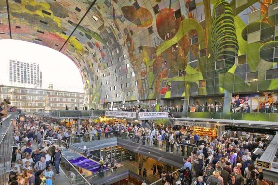 Rotterdam Tour with Cube House Admission - The Erasmus Bridge and Rotterdam’s modern identity
