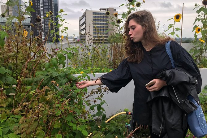 Rotterdam Travel to the Future Walking Tour - A Walking Tour About How Rotterdam Reinvented Itself