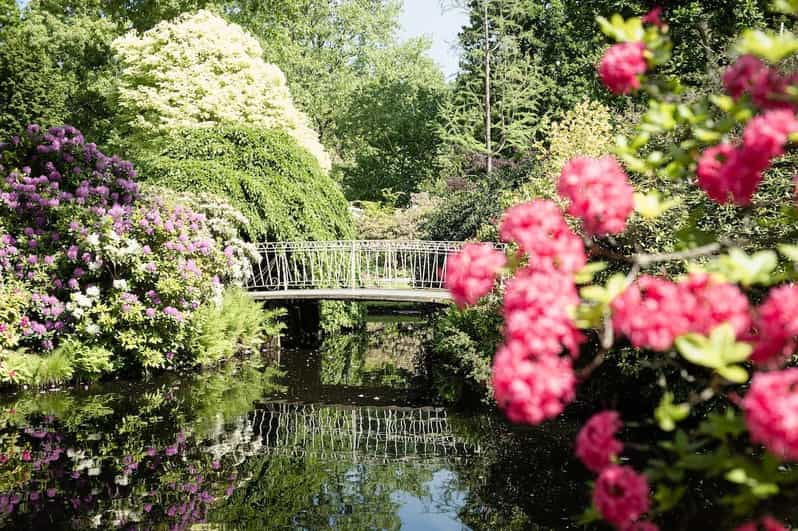 Rotterdam: Trompenburg Botanical Gardens Entry Ticket - Key points to know before you go