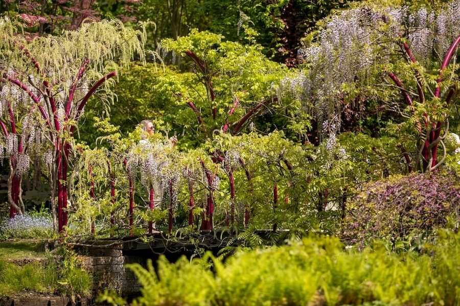 Rotterdam: Trompenburg Botanical Gardens Entry Ticket - Practical details that affect your visit