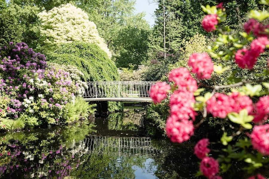 Rotterdam: Trompenburg Botanical Gardens Entry Ticket - Why Trompenburg feels different from a city park